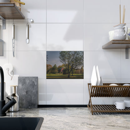 U R There Photography Belle River Red II Rustic Farmhouse Decorative Ceramic Tile