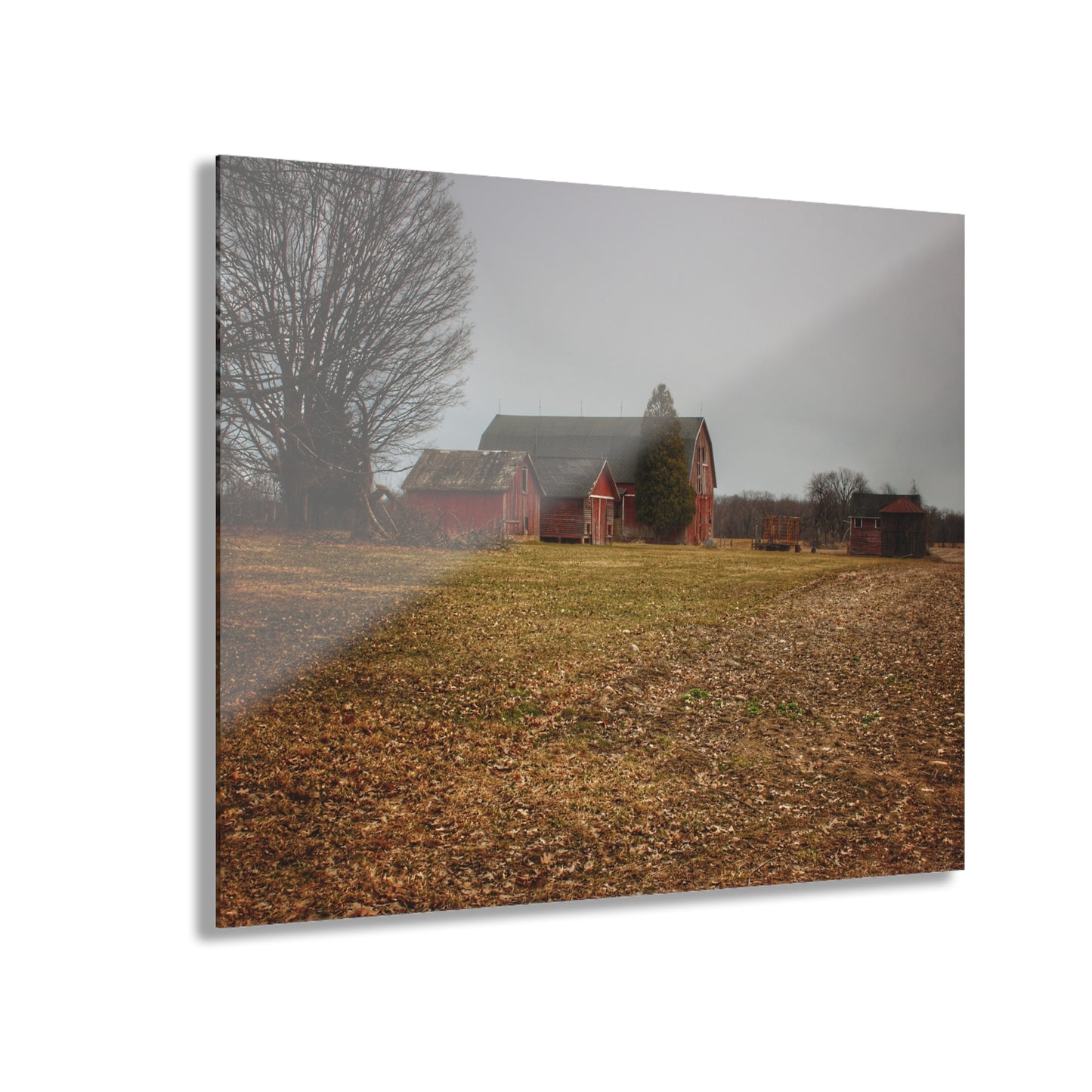 U R There Photography Wilder Road Reds in Spring Rustic Farmhouse Acrylic Wall Print