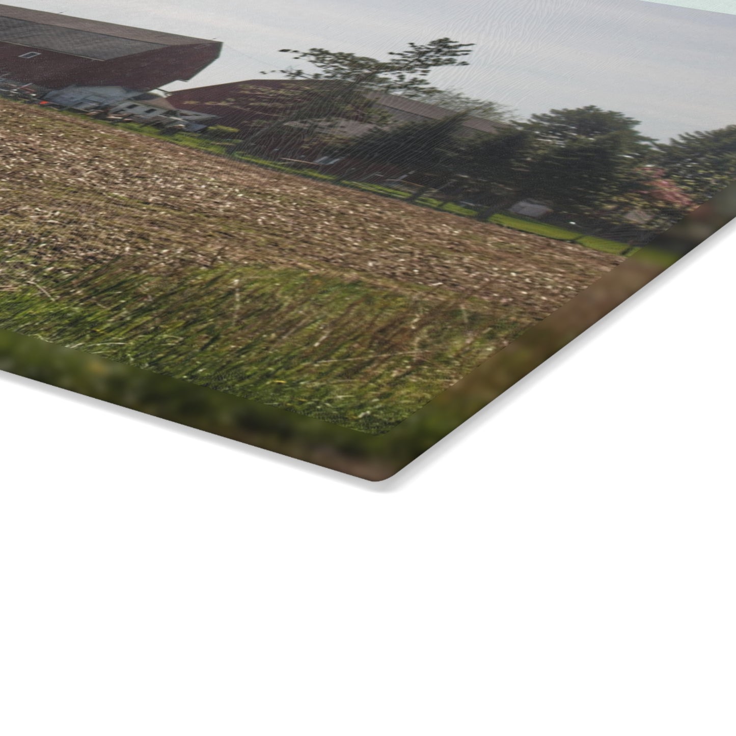 U R There Photography Bishop Road Reds IV Rustic Farmhouse Tempered-Glass Cutting Board