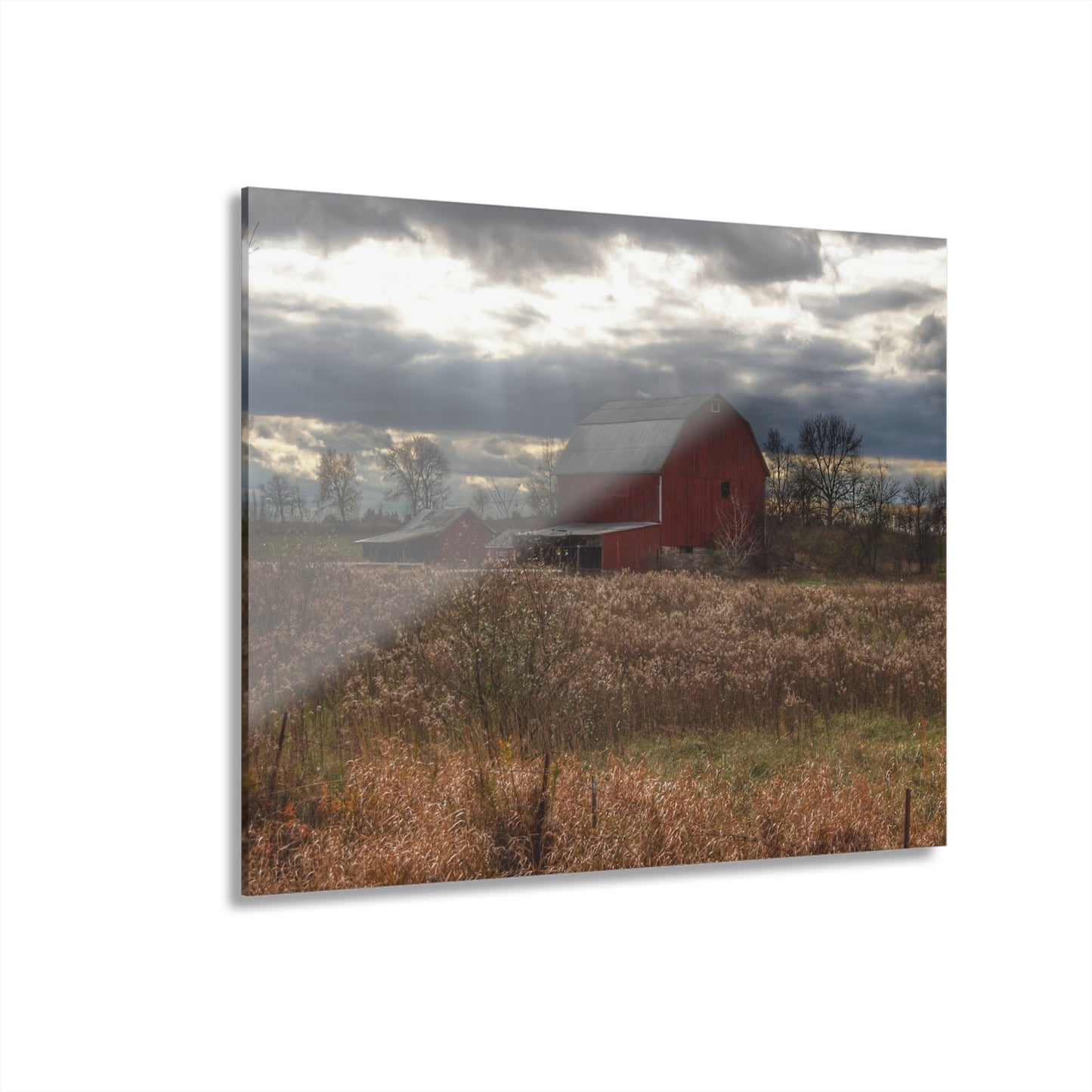 U R There Photography Booth Road Cow Barn II Rustic Farmhouse Acrylic Wall Print