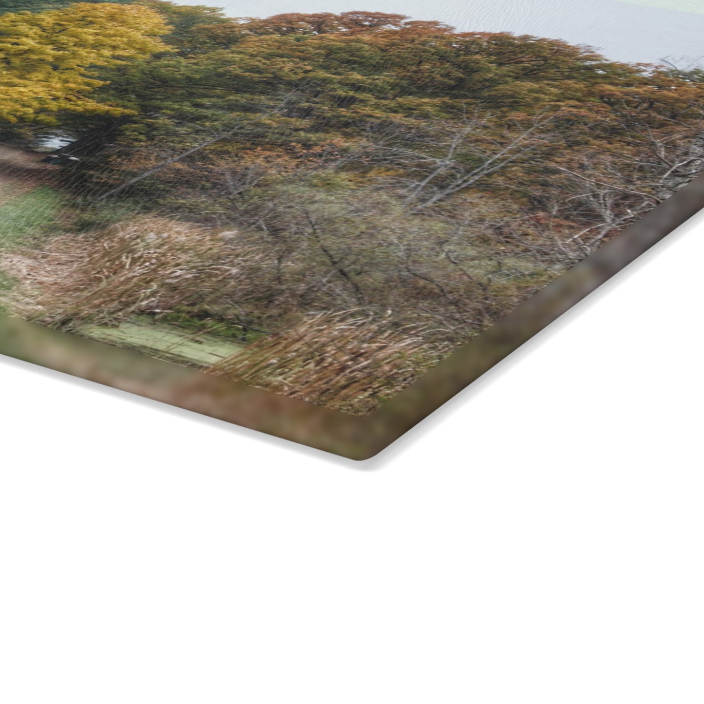 U R There Photography Country Roads in Dryden I Rustic Farmhouse Tempered-Glass Cutting Board