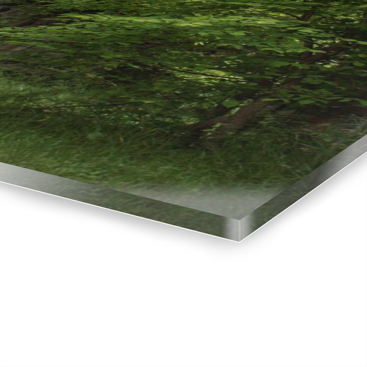 U R There Photography Imlay Hidden Rustic Farmhouse Acrylic Wall Print