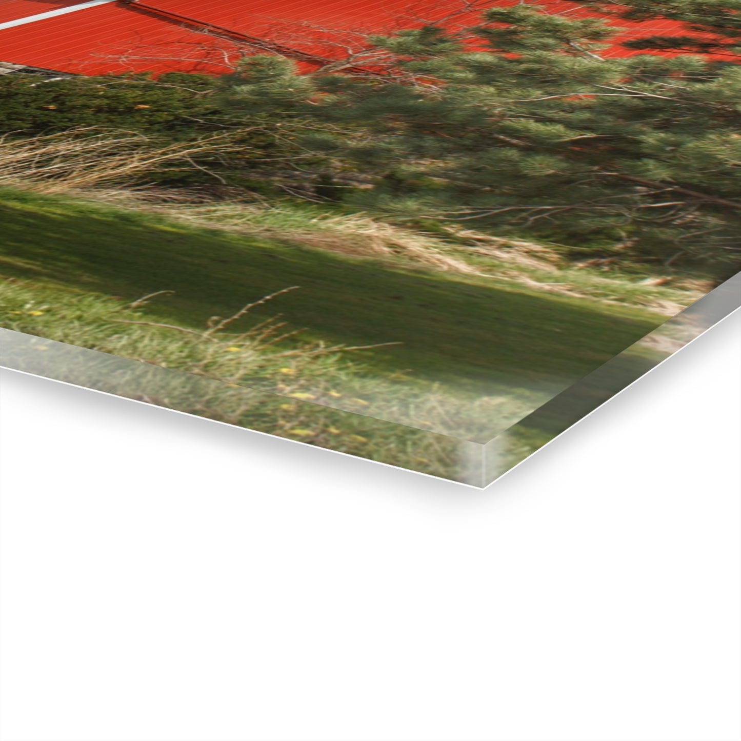 U R There Photography McAlpine Hidden Red Rustic Farmhouse Acrylic Wall Print