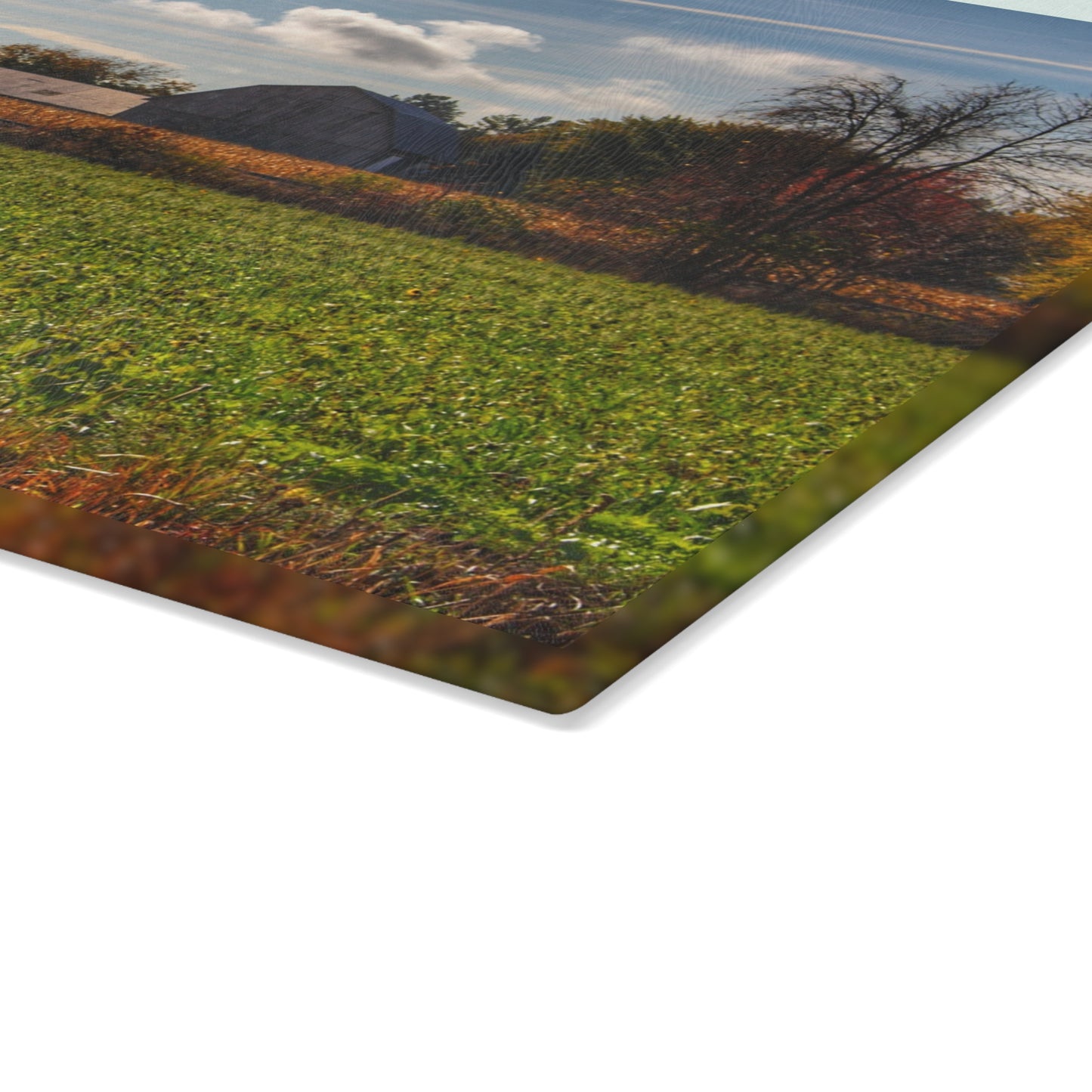 U R There Photography Wadsworth Road Grey Rustic Farmhouse Tempered-Glass Cutting Board