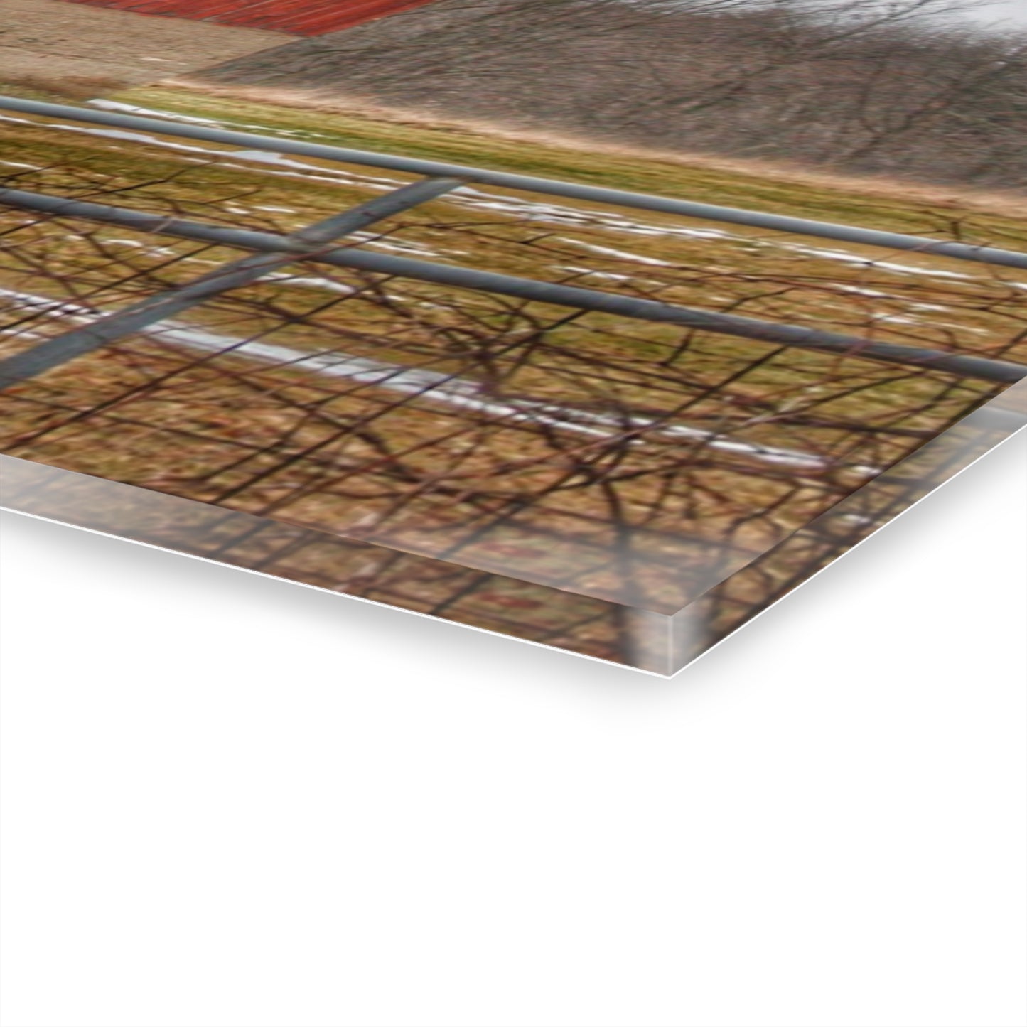 U R There Photography Lonsberry Red Rustic Farmhouse Acrylic Wall Print