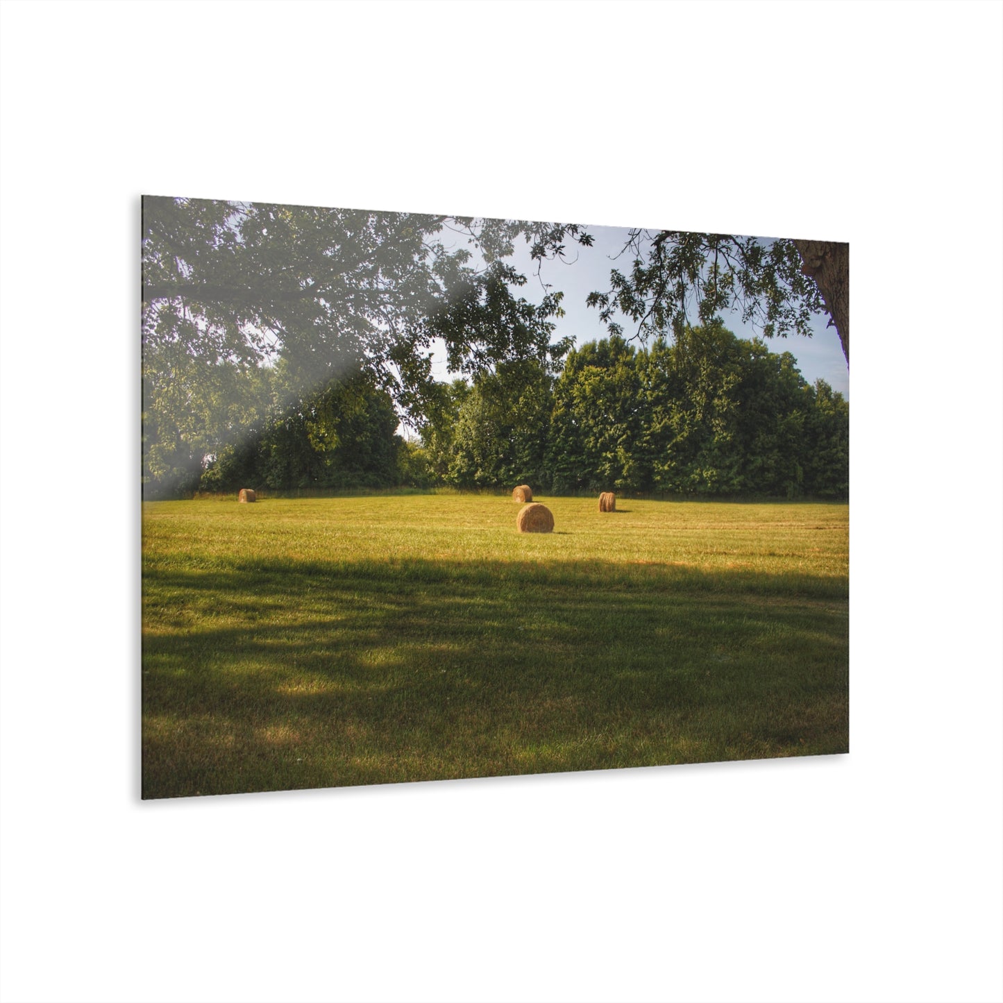 U R There Photography Summer Haybales I Rustic Farmhouse Acrylic Wall Print