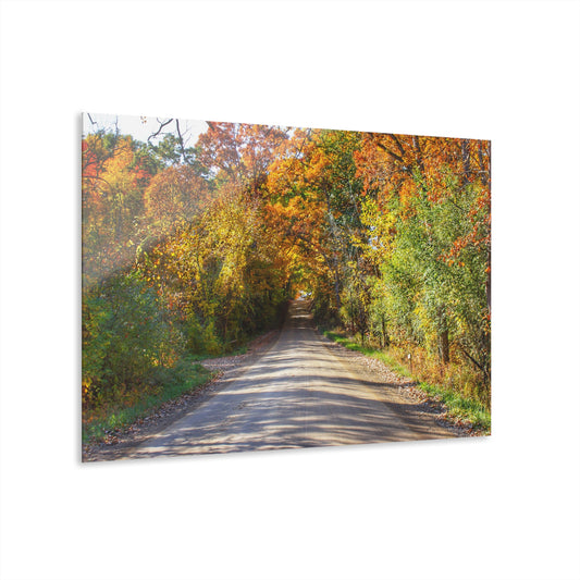 U R There Photography Harson Road in Fall II Rustic Farmhouse Acrylic Wall Print