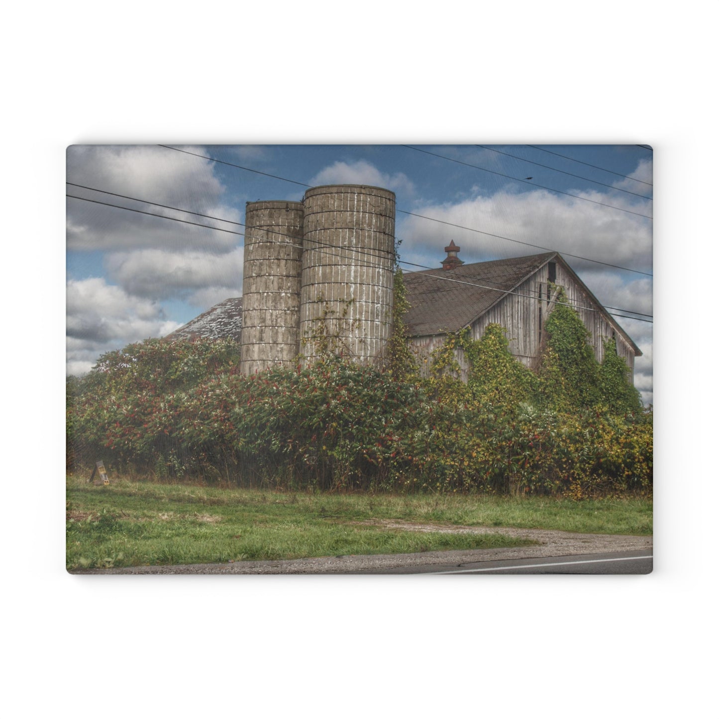 U R There Photography Metamora M-24 Grey II Rustic Farmhouse Tempered-Glass Cutting Board