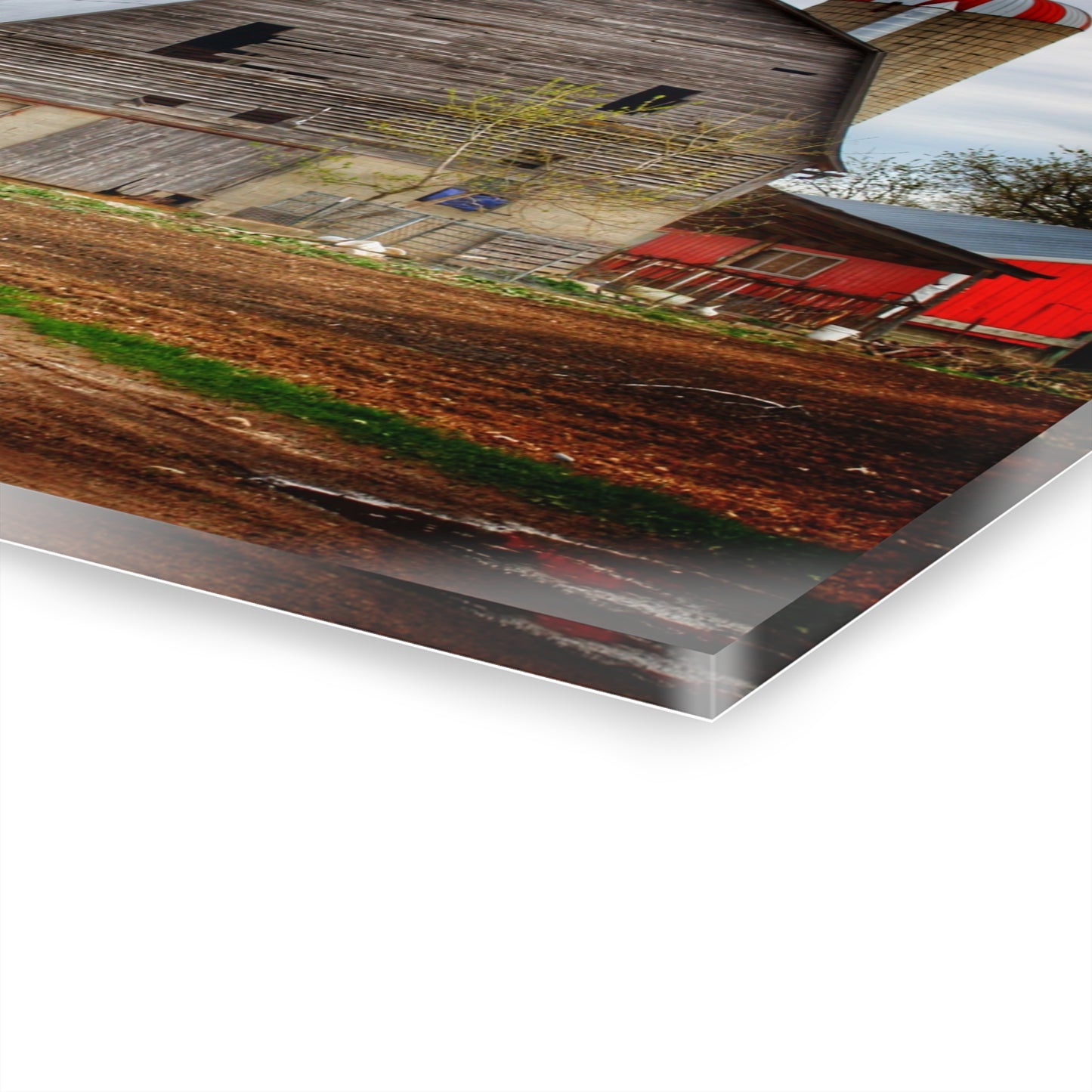 U R There Photography Murphy Lake Road Grey l Rustic Farmhouse Acrylic Wall Print