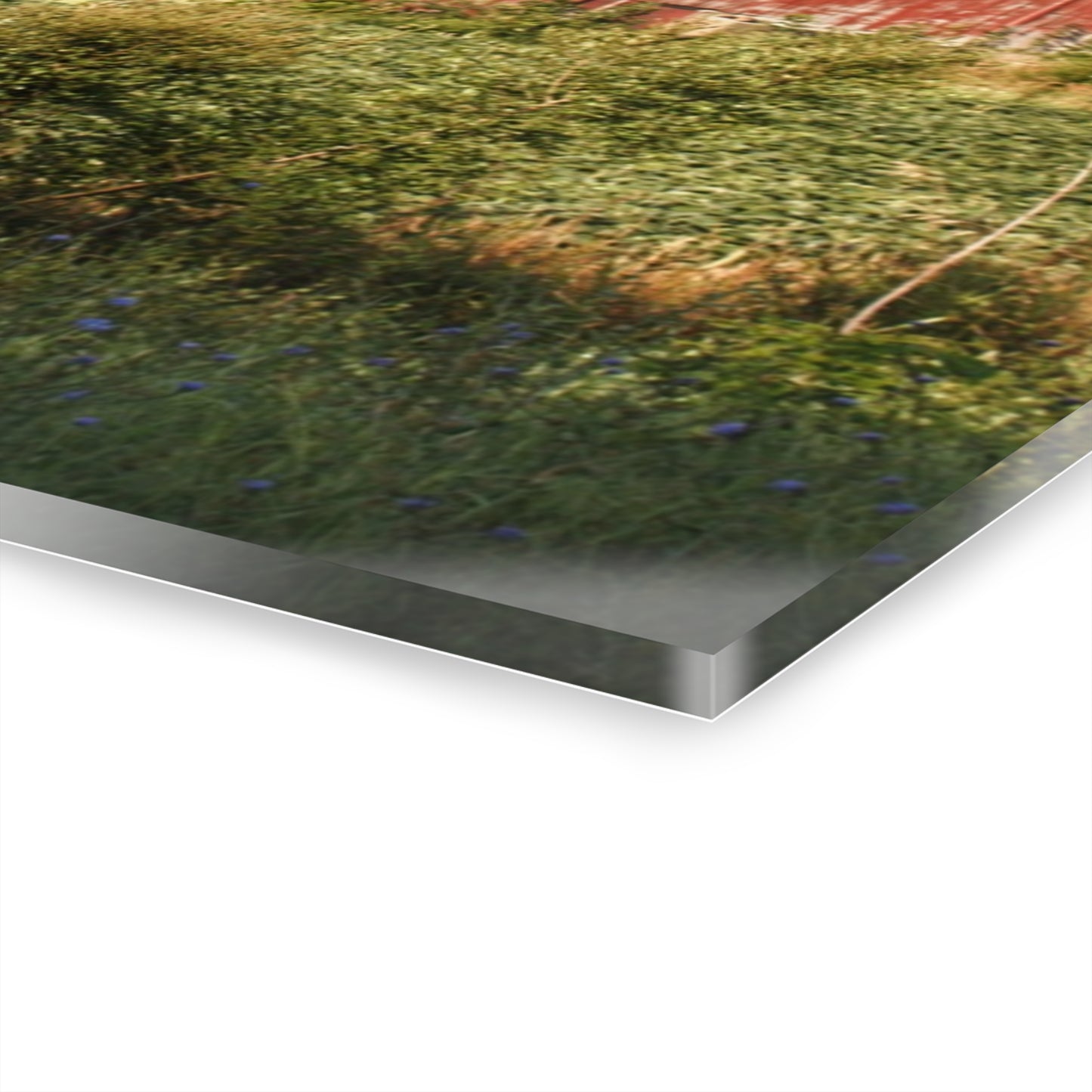 U R There Photography Genesee Road Red II Rustic Farmhouse Acrylic Wall Print