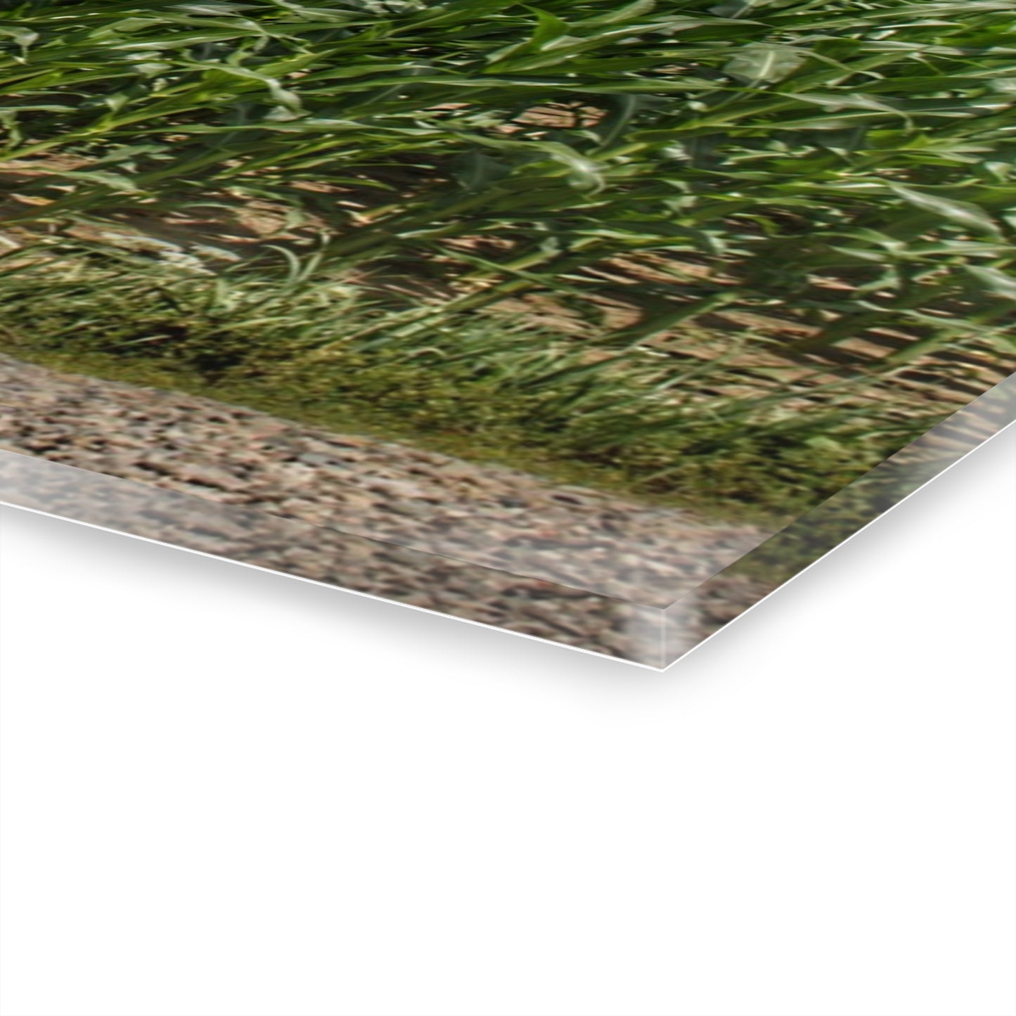 U R There Photography Millington Road Reds Rustic Farmhouse Acrylic Wall Print