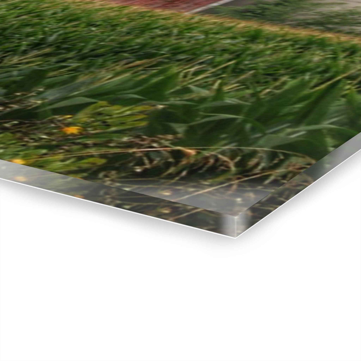 U R There Photography Mayville Lapeer Road Red Rustic Farmhouse Acrylic Wall Print