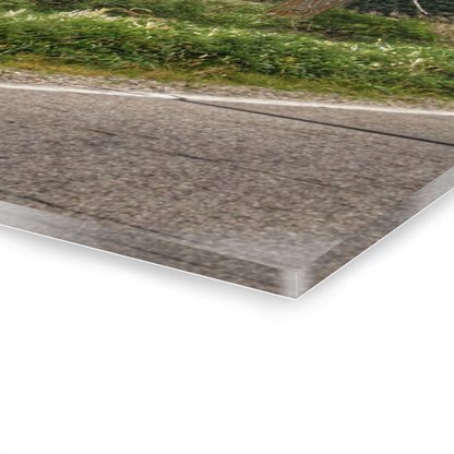 U R There Photography Hinson Road Grey Quonset Rustic Farmhouse Acrylic Wall Print