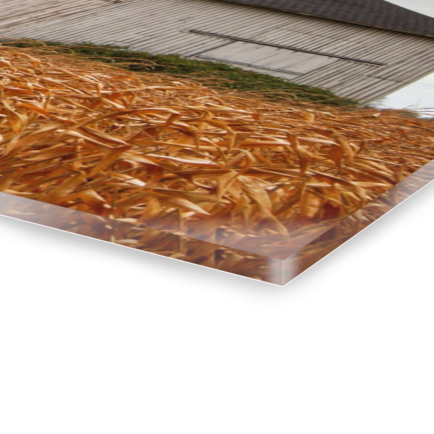 U R There Photography Merry Road Grey Rustic Farmhouse Acrylic Wall Print