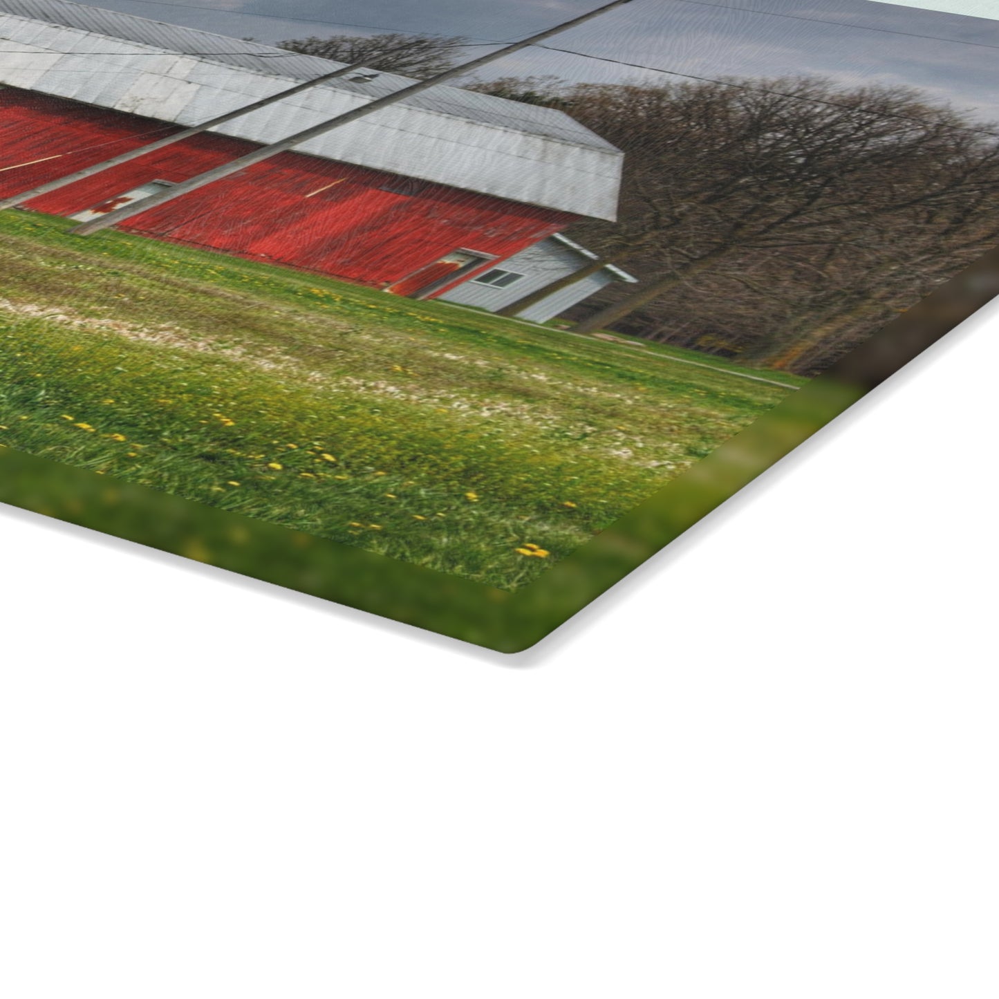 U R There Photography Coldwater Road Red I Rustic Farmhouse Tempered-Glass Cutting Board
