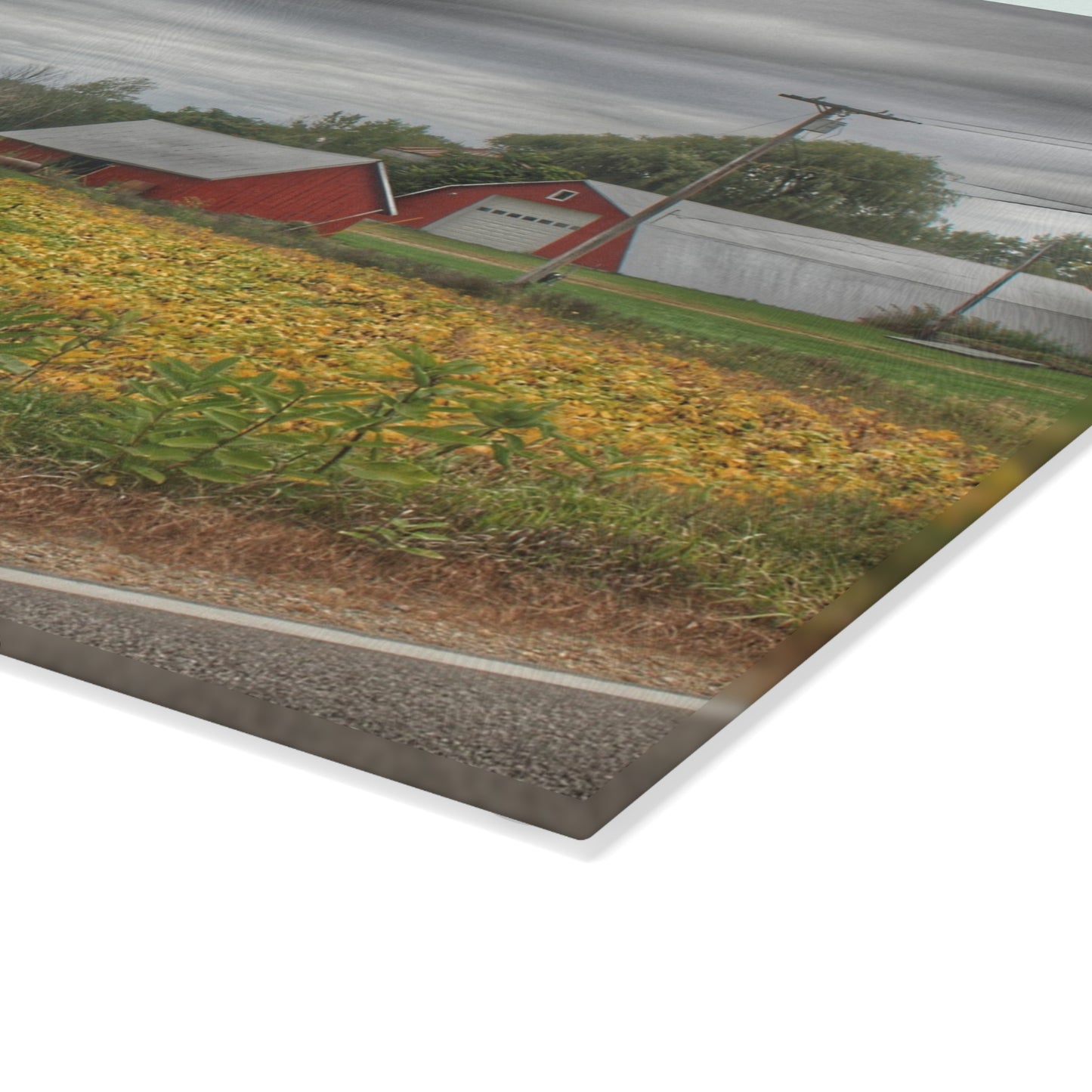 U R There Photography Kingston Road Trio II Rustic Farmhouse Tempered-Glass Cutting Board