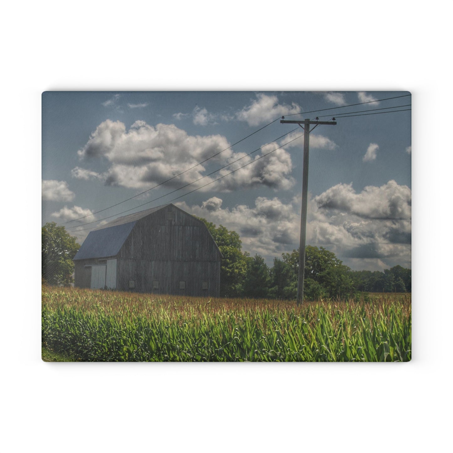 U R There Photography Grey Barn in a Cornfield Rustic Farmhouse Tempered-Glass Cutting Board