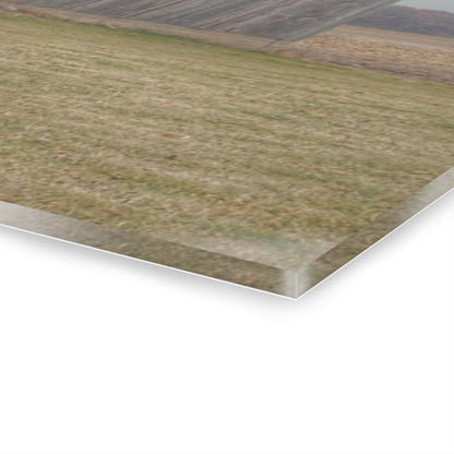 U R There Photography Forest Road Grey Rustic Farmhouse Acrylic Wall Print