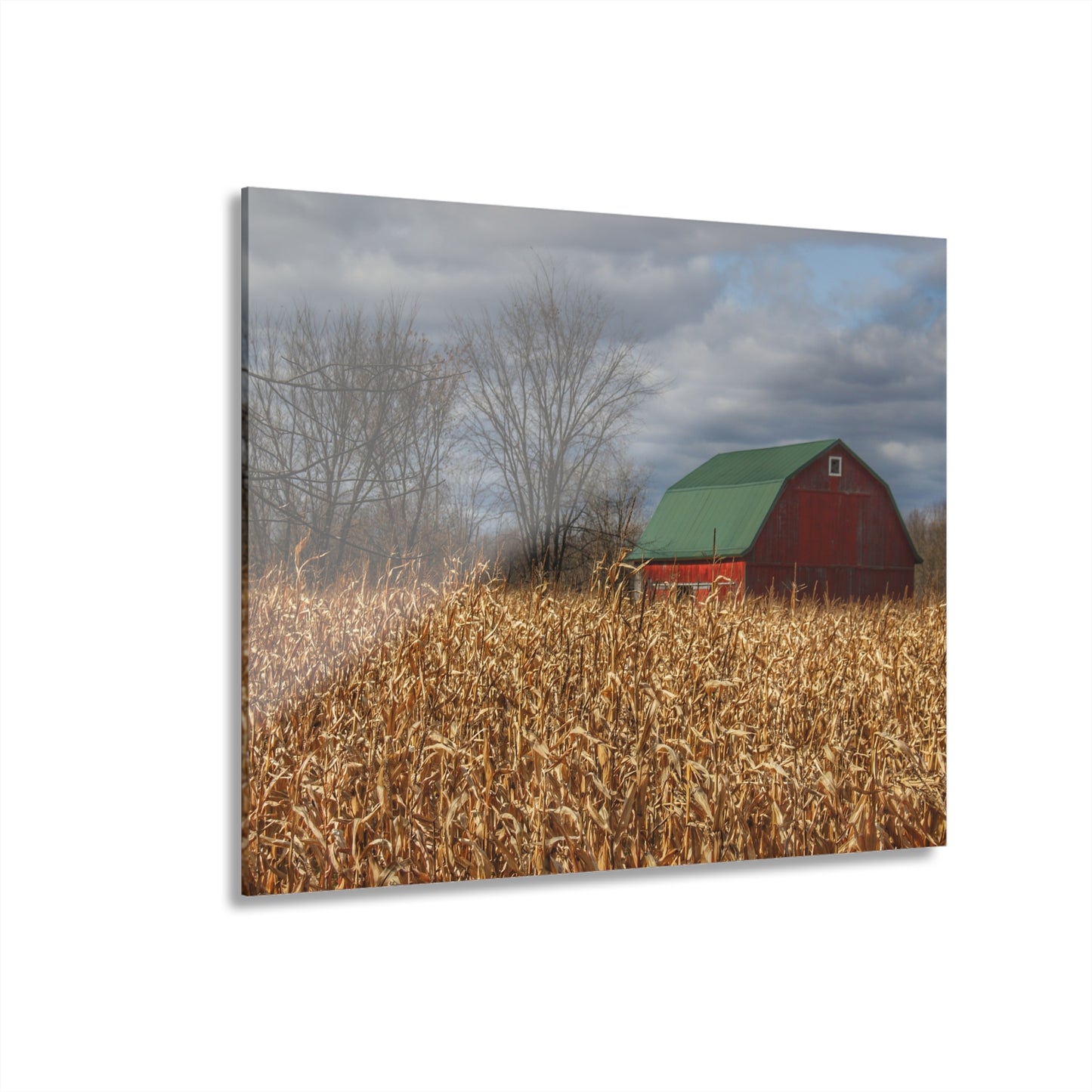U R There Photography North Force Road Hidden Red Rustic Farmhouse Acrylic Wall Print
