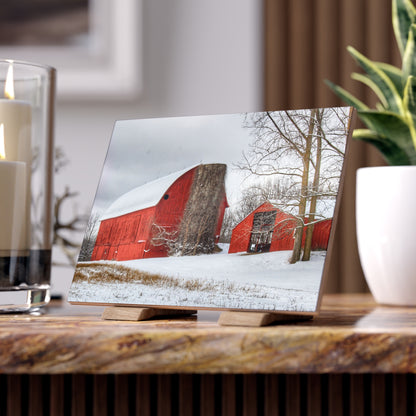 U R There Photography Catlin Reds in Winter I Rustic Farmhouse Decorative Ceramic Tile