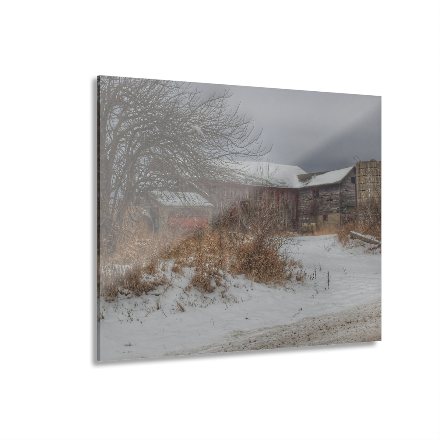 U R There Photography Midwinter Red Rustic Farmhouse Acrylic Wall Print