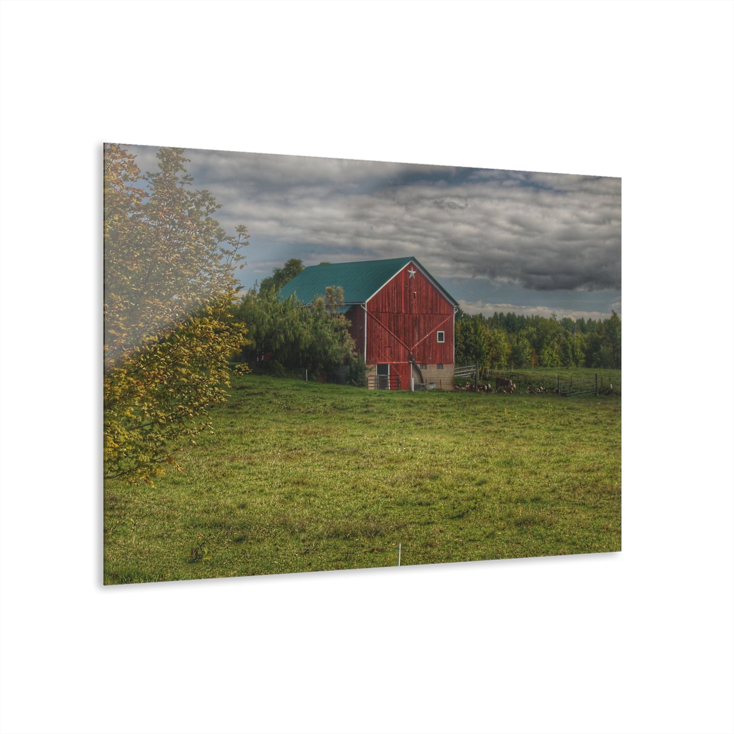 U R There Photography Kingston Plain Road Cow Barn Rustic Farmhouse Acrylic Wall Print