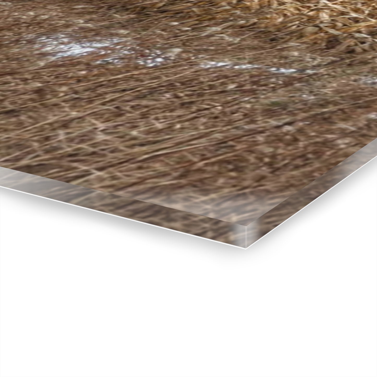 U R There Photography Edward Road Reds Rustic Farmhouse Acrylic Wall Print