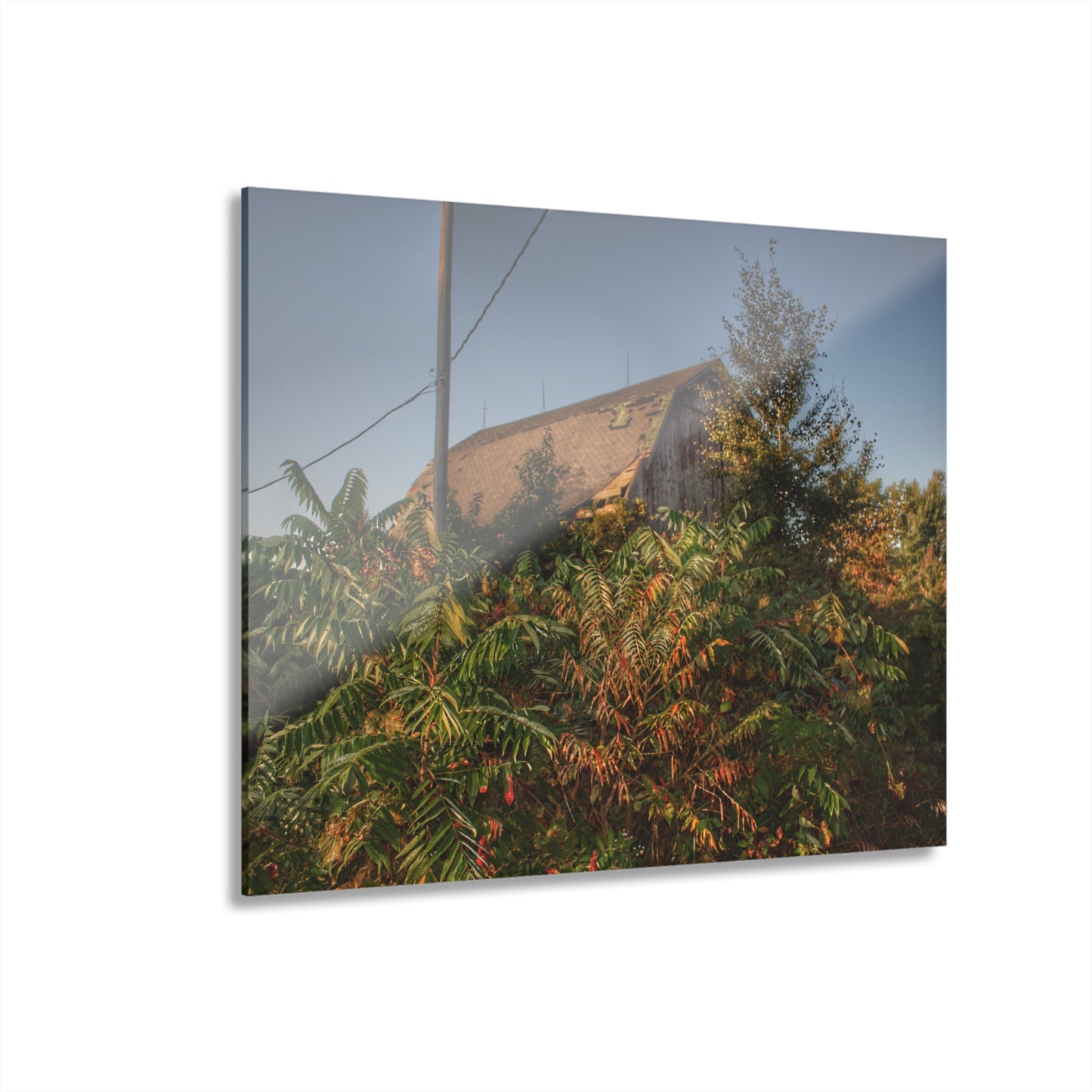 U R There Photography Hidden on Bearanger Road Rustic Farmhouse Acrylic Wall Print