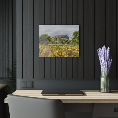U R There Photography Van Dyke Grey Rustic Farmhouse Acrylic Wall Print