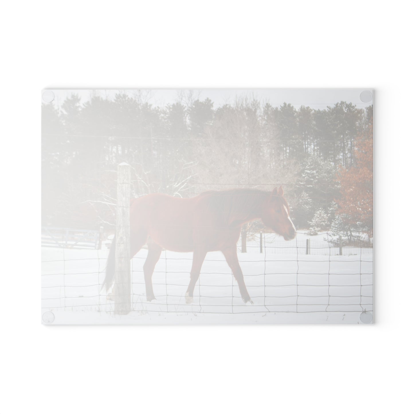 U R There Photography Roadside Chestnut Rustic Farmhouse Tempered-Glass Cutting Board