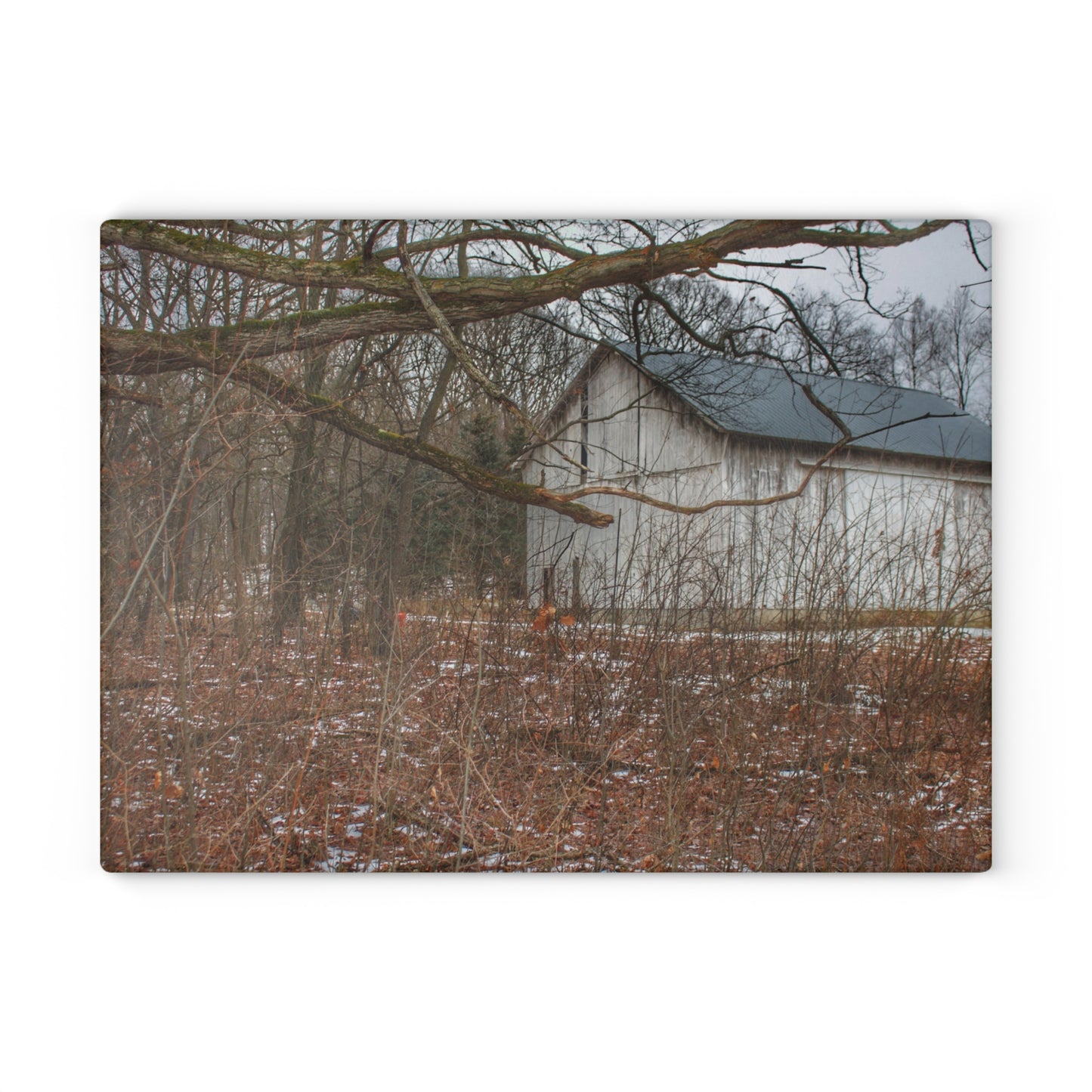 U R There Photography Norway Lake Road Hidden White Rustic Farmhouse Tempered-Glass Cutting Board