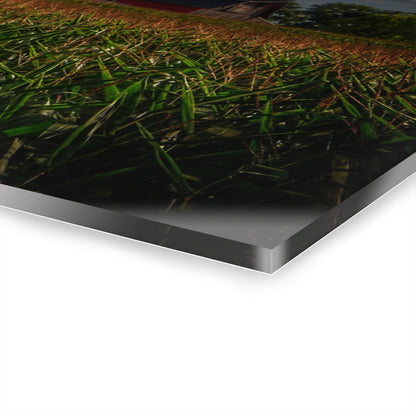 U R There Photography Bishop Road Beyond the Corn Rustic Farmhouse Acrylic Wall Print
