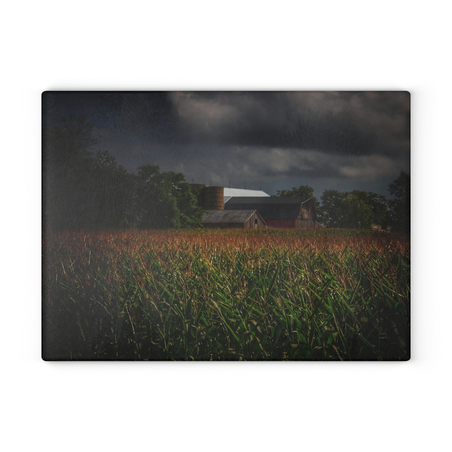 U R There Photography Bishop Road Beyond the Corn Rustic Farmhouse Tempered-Glass Cutting Board