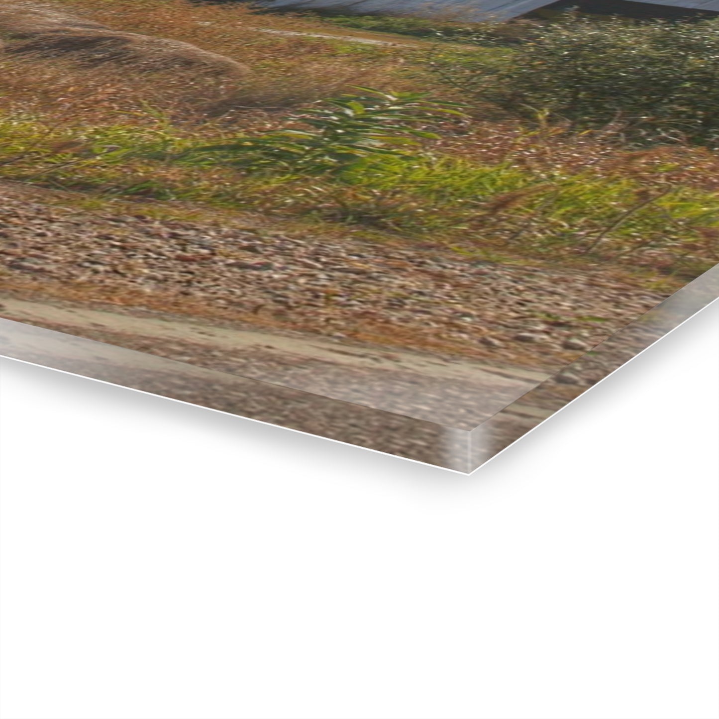 U R There Photography Hurds Corner Road Grey Shack Rustic Farmhouse Acrylic Wall Print