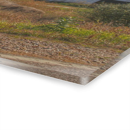 U R There Photography Hurds Corner Road Grey Shack Rustic Farmhouse Acrylic Wall Print