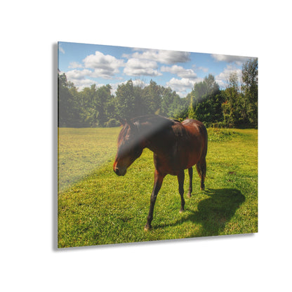 U R There Photography Brown Beauty II Rustic Farmhouse Acrylic Wall Print