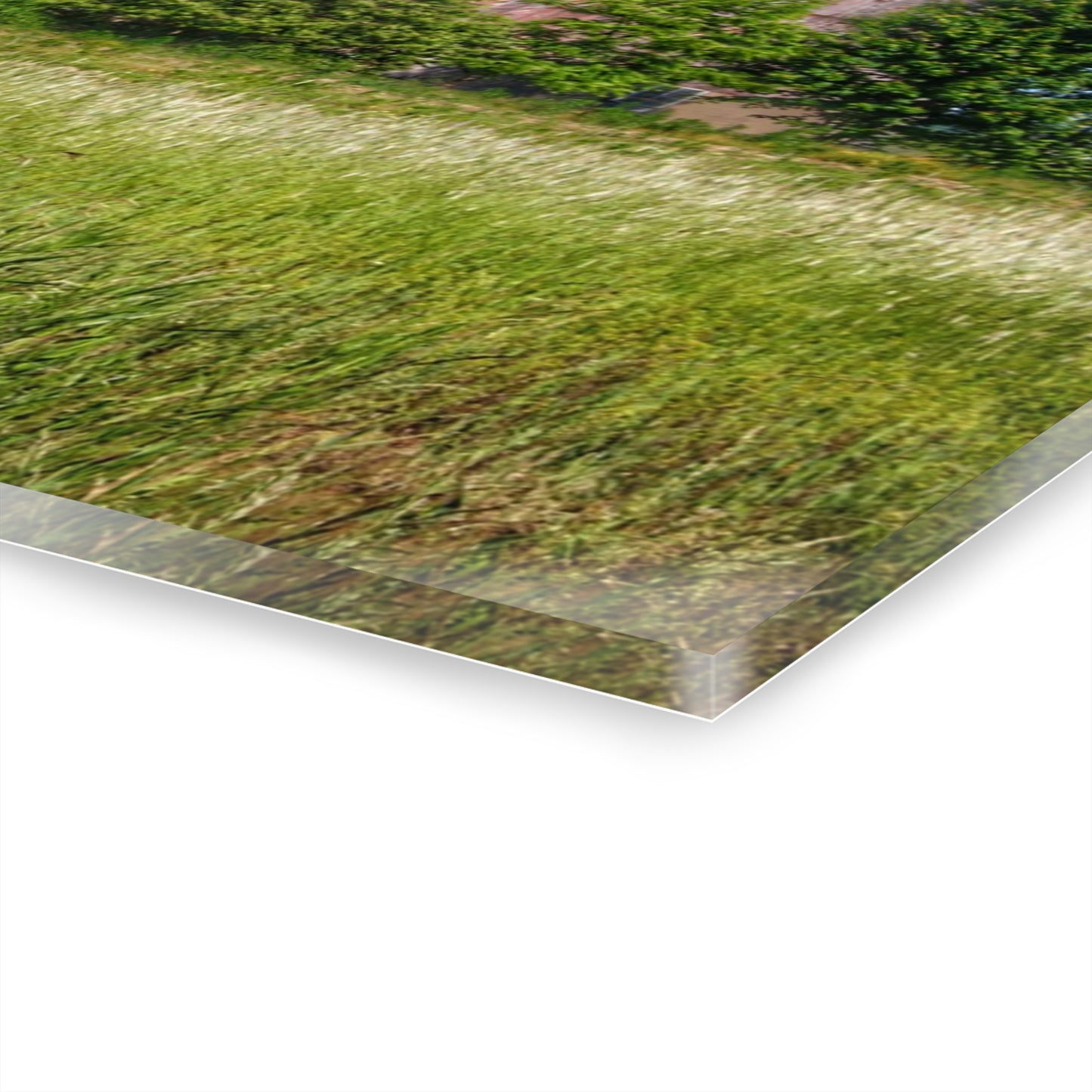 U R There Photography Elmwood Road Red IV Rustic Farmhouse Acrylic Wall Print