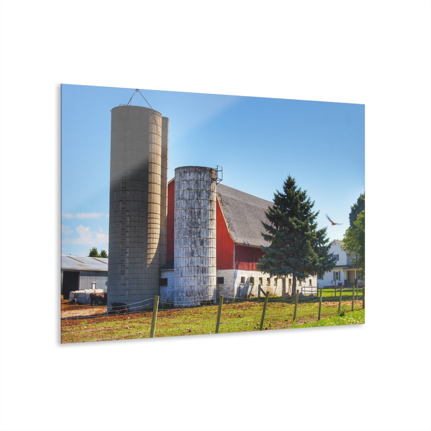 U R There Photography Hunters Creek Red Cow Barn I Rustic Farmhouse Acrylic Wall Print