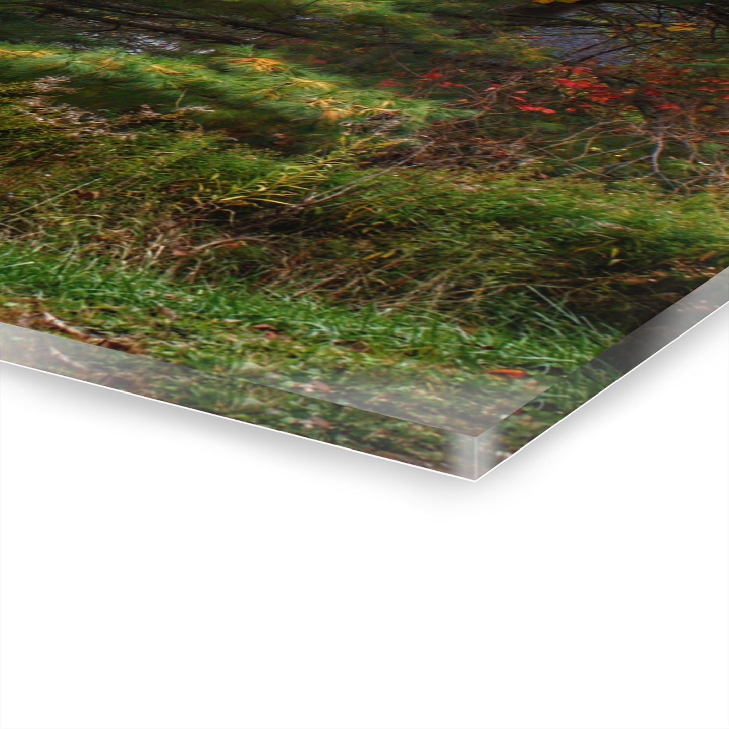 U R There Photography Green Corners Road Hidden Red Rustic Farmhouse Acrylic Wall Print