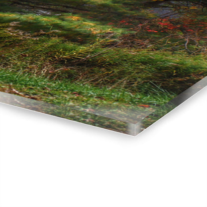 U R There Photography Green Corners Road Hidden Red Rustic Farmhouse Acrylic Wall Print