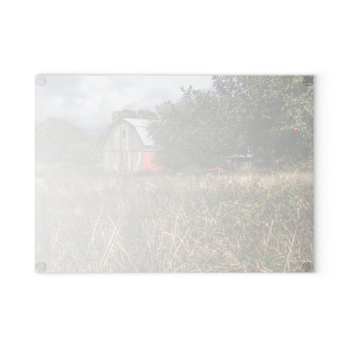 U R There Photography East Frances Road Hidden Grey I Rustic Farmhouse Tempered-Glass Cutting Board