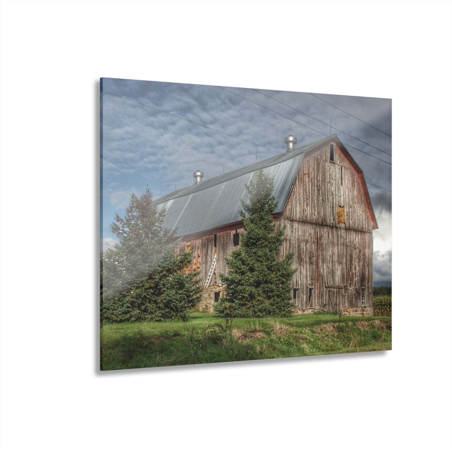 U R There Photography North Irish Red III Rustic Farmhouse Acrylic Wall Print