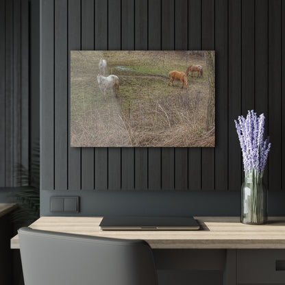 Barn Boutique Modern Farmhouse Acrylic Wall Print| Horses of Barnes Road II