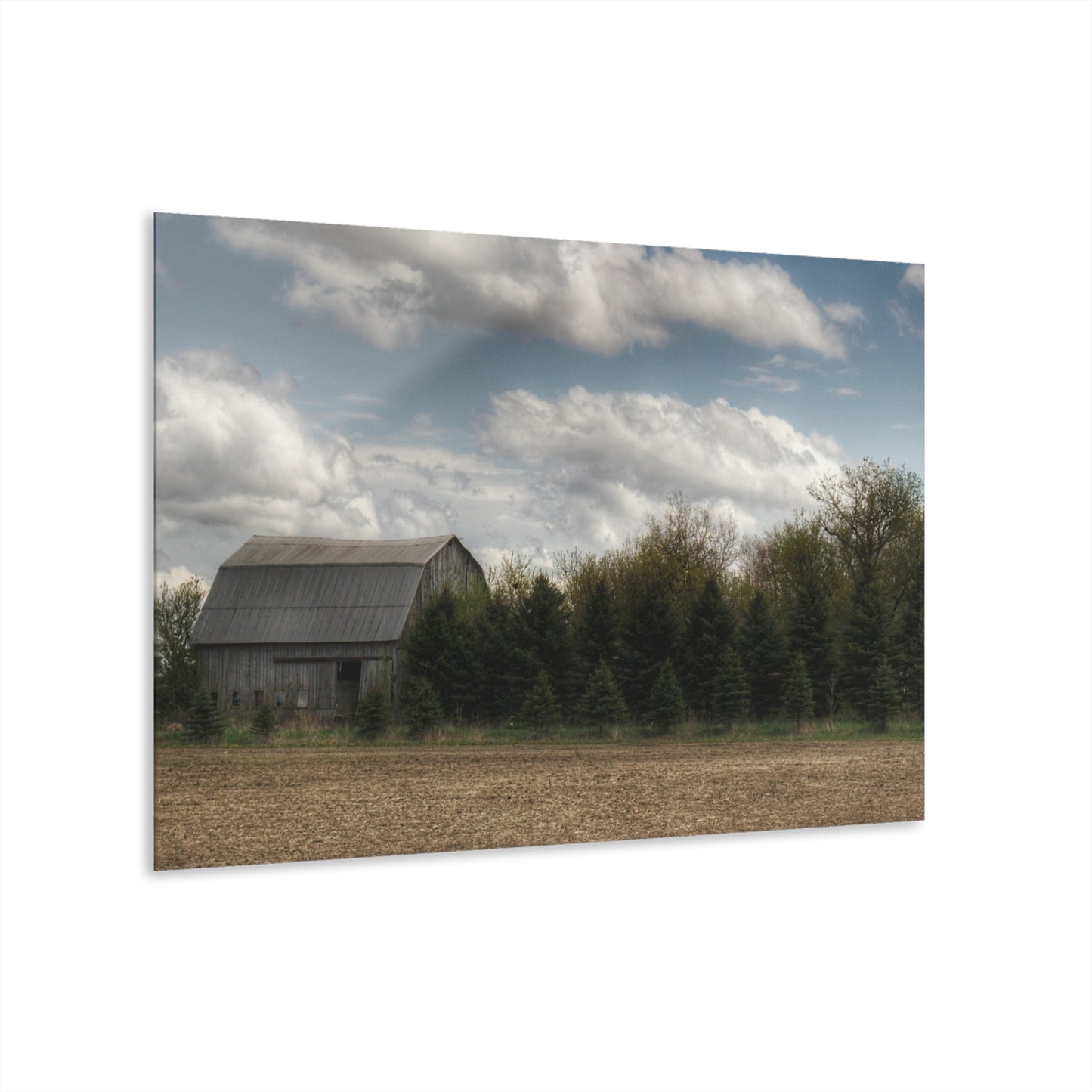 U R There Photography Sandusky Grey in the Pines Rustic Farmhouse Acrylic Wall Print