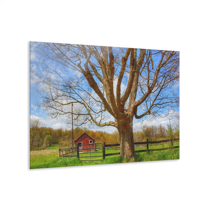 U R There Photography Delano Oak and Little Red Rustic Farmhouse Acrylic Wall Print