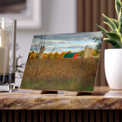 U R There Photography Beyond the Harvest Corn II Rustic Farmhouse Decorative Ceramic Tile