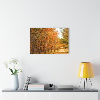 Barn Boutique Modern Farmhouse Acrylic Wall Print| Murphy Lake Road in the Fall I