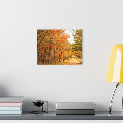 Barn Boutique Modern Farmhouse Acrylic Wall Print| Murphy Lake Road in the Fall I