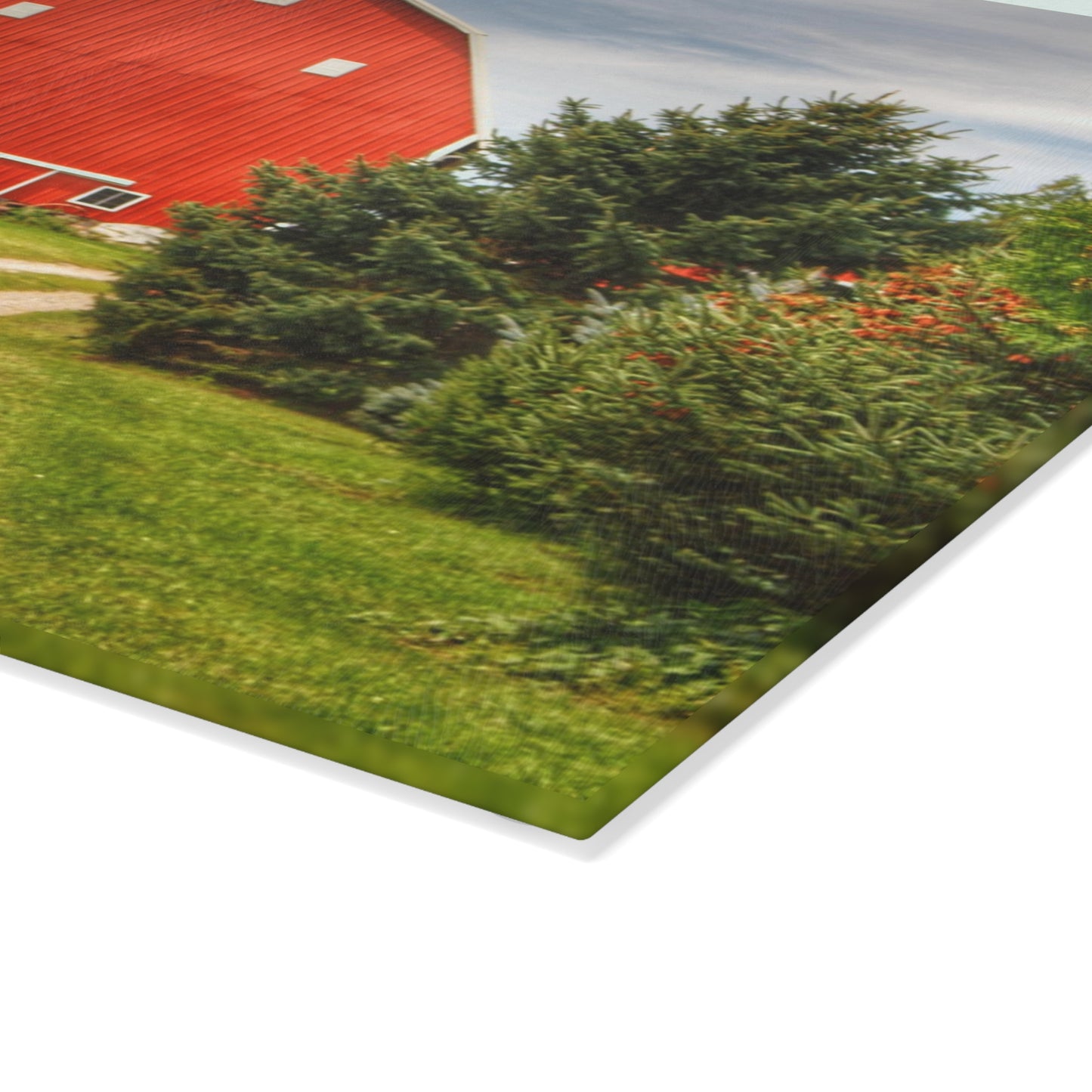 U R There Photography Brown City Road Pine Red Rustic Farmhouse Tempered-Glass Cutting Board