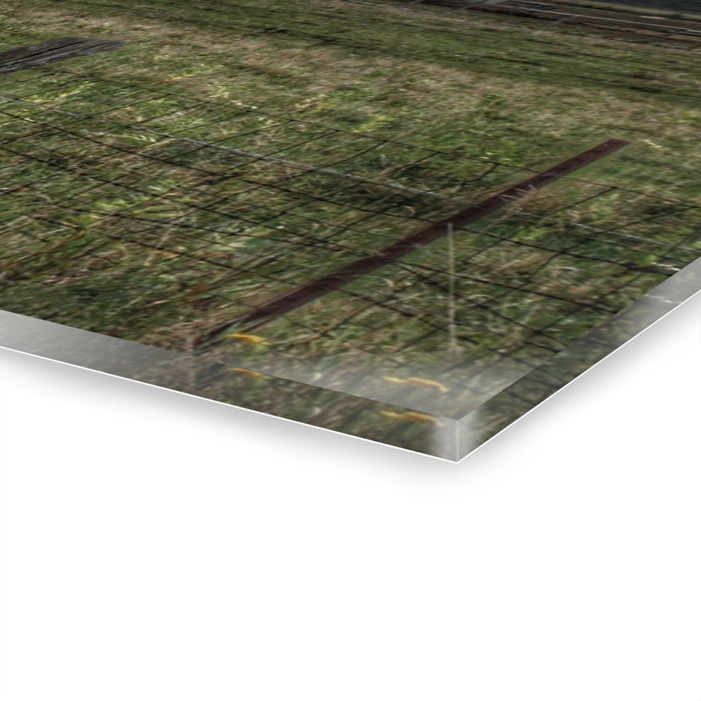 U R There Photography Newark Road Tilted Grey I Rustic Farmhouse Acrylic Wall Print